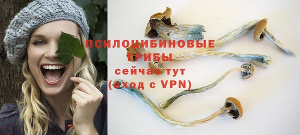 прущая мука Новодвинск