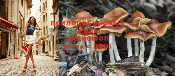 прущая мука Новодвинск