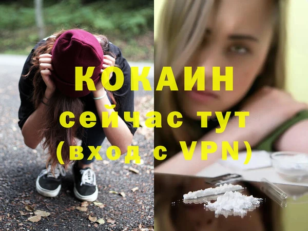 эйфоретик Новозыбков